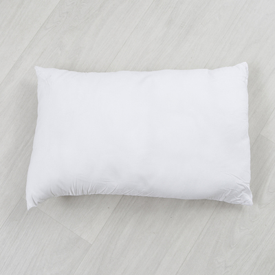 Cushion Insert (30x50cm)
