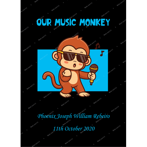 Custom Order Monkey Blankets