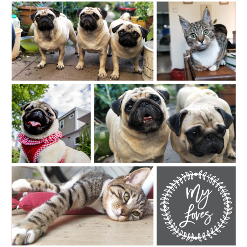 Photo Blanket 6 Frame (SMALL 100cm x 140cm)